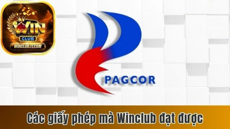 Winclub – Nhà cái cá cược chuyên nghiệp, đổi thưởng siêu tốc 2025 159 Các giấy phép mà Winclub đạt được